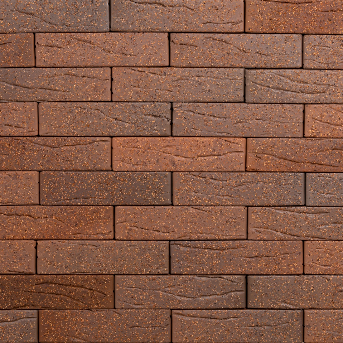 ТАЙГА БОРУС