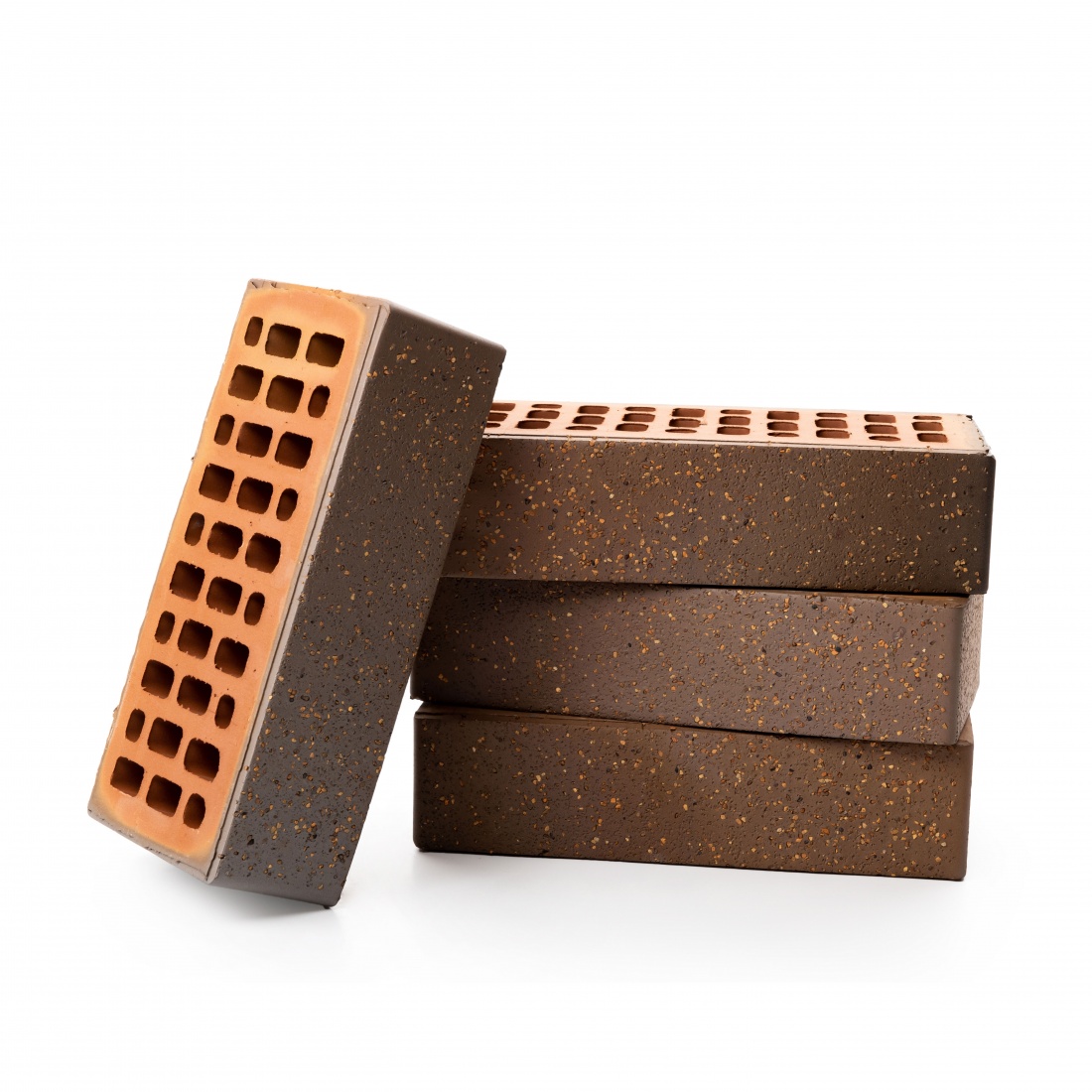 ТАЙГА БОРУС