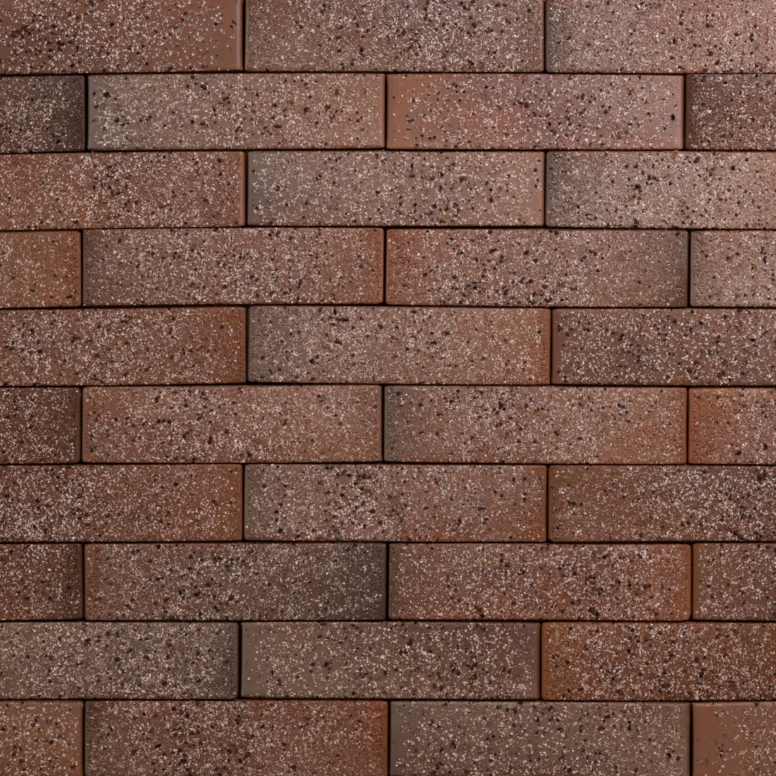 ТАЙГА МОНГУН