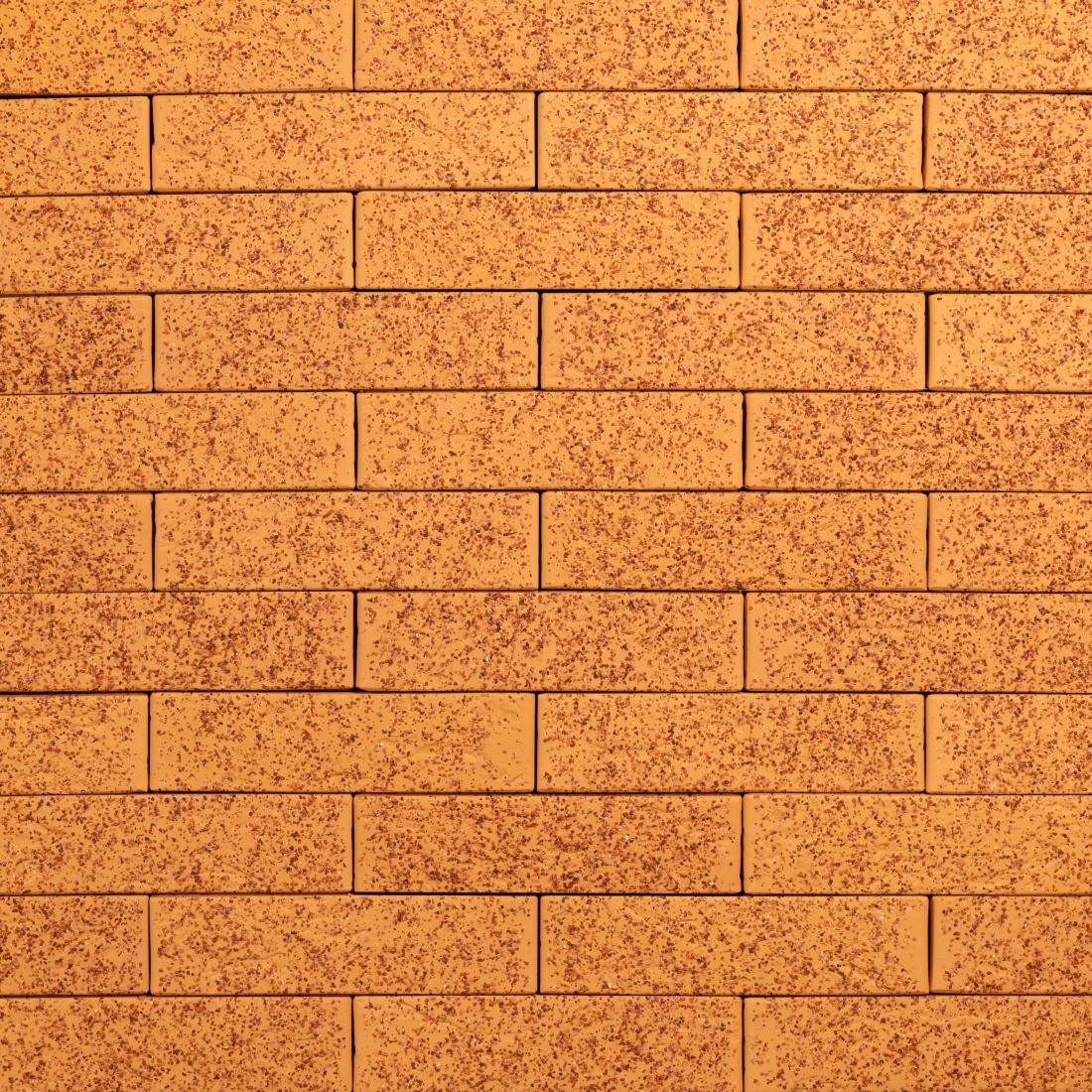 ТАЙГА ЯГЕЛЬ