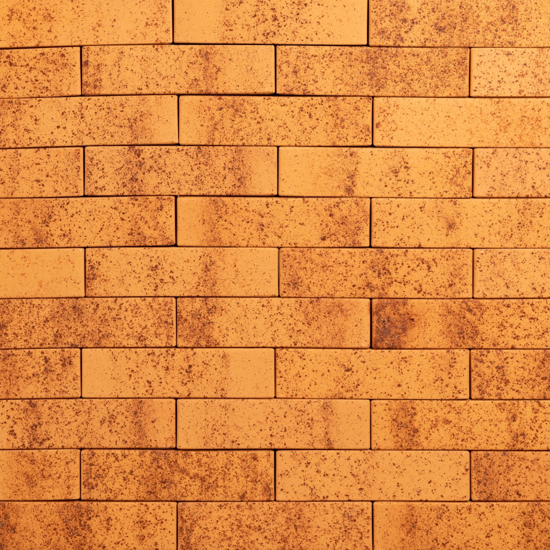 ТАЙГА МОРОШКА