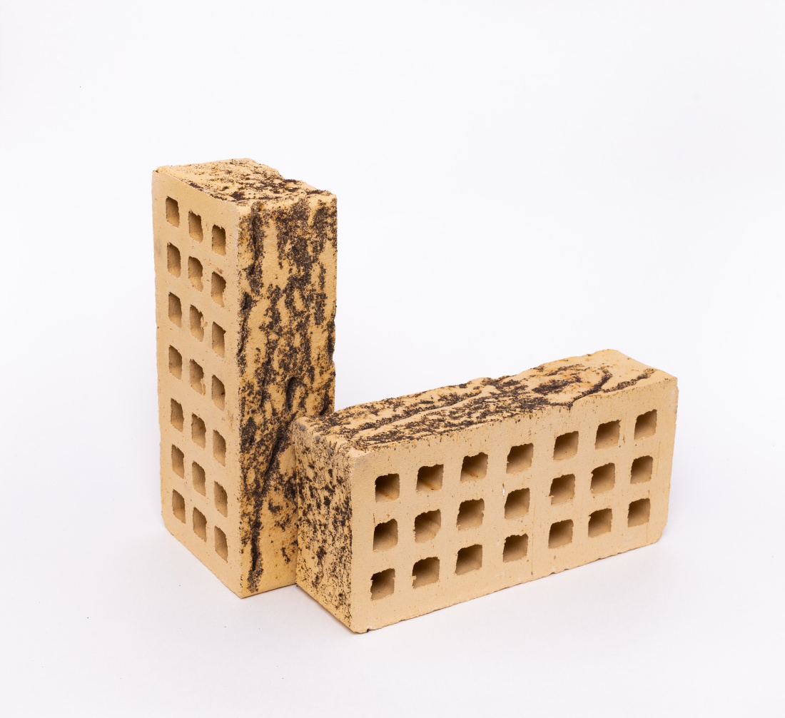 КИРПИЧ ЛИЦЕВОЙ  ОДИНАРНЫЙ СЛОНОВАЯ КОСТЬ БЕРЕСТА